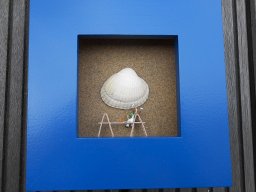 Baustelle Malermuschel